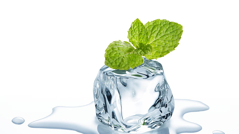 Melting Ice Illustration Cube Ice Mint Leaves Ice Cube, HD wallpaper