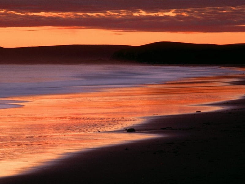 Sunset on the beach, beach, sunset, sand, low tide, HD wallpaper