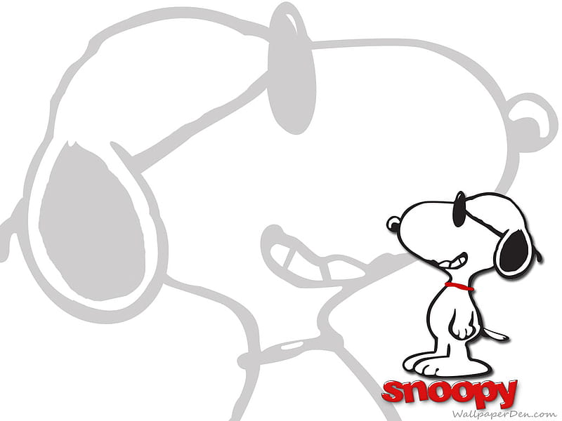The dog snoopy, snoopy, show, cartoon, tv, dog, HD wallpaper | Peakpx