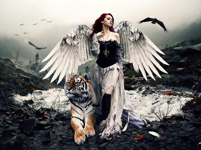 Tiger Lady, Tiger, Lady, Angel, Fantasy, HD wallpaper