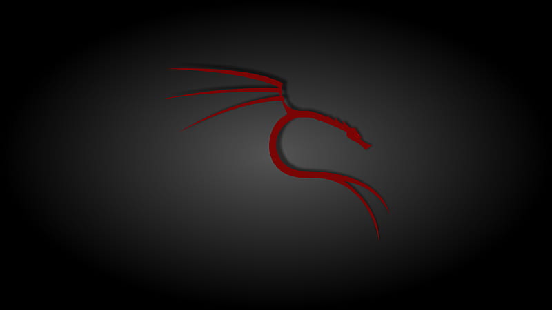 Black and Red Kali Linux, computer, operating system, linux, kali, technology, HD wallpaper