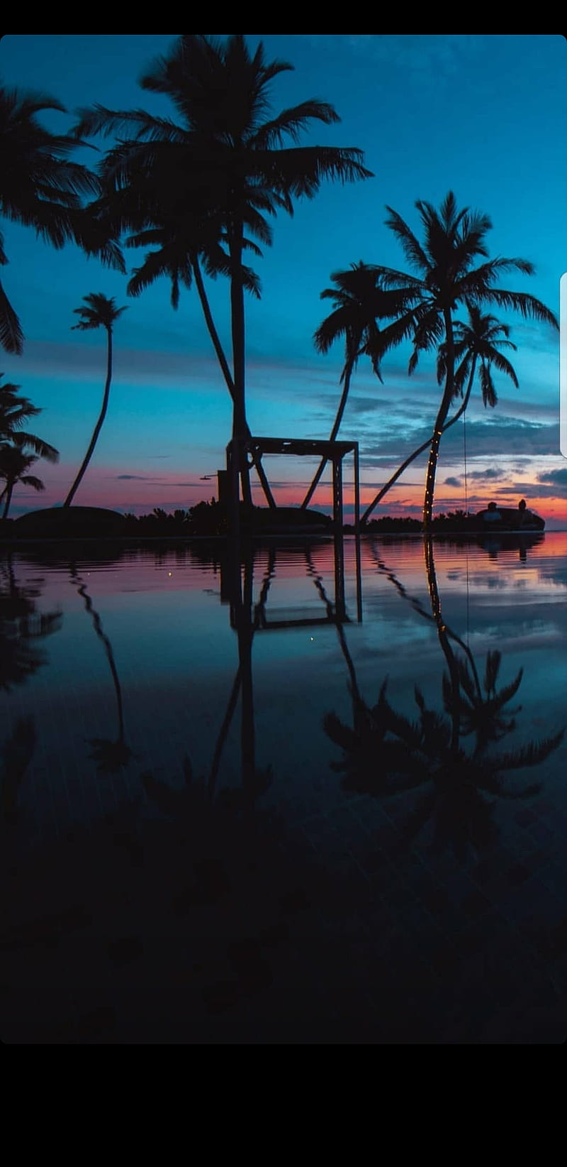 kelapa, laut, pantai, pulau, senja, sunrise, sunset, HD phone wallpaper