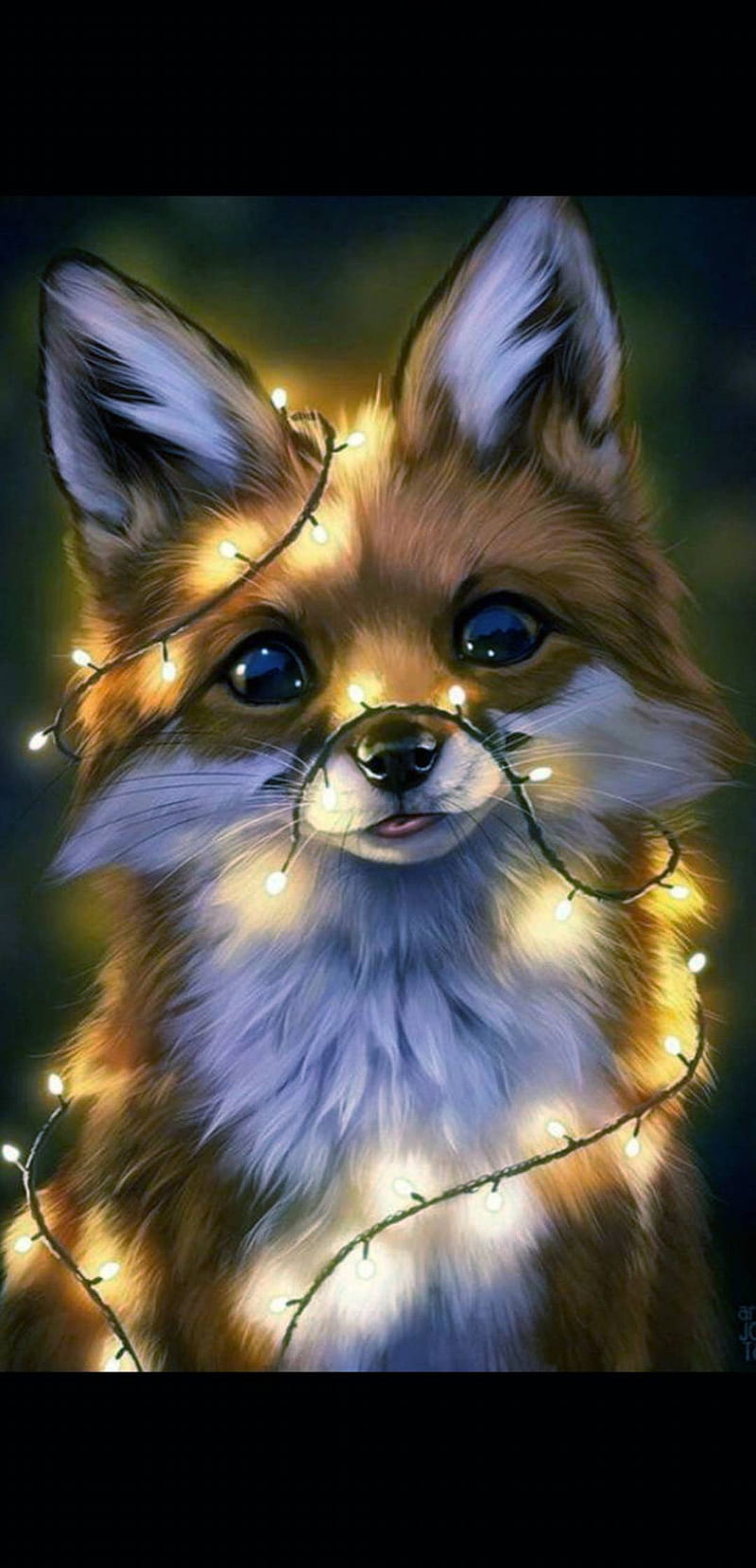 Fox, cute, foxes, star, kawaii, cat, hugs, white, fur, orange, HD phone wallpaper