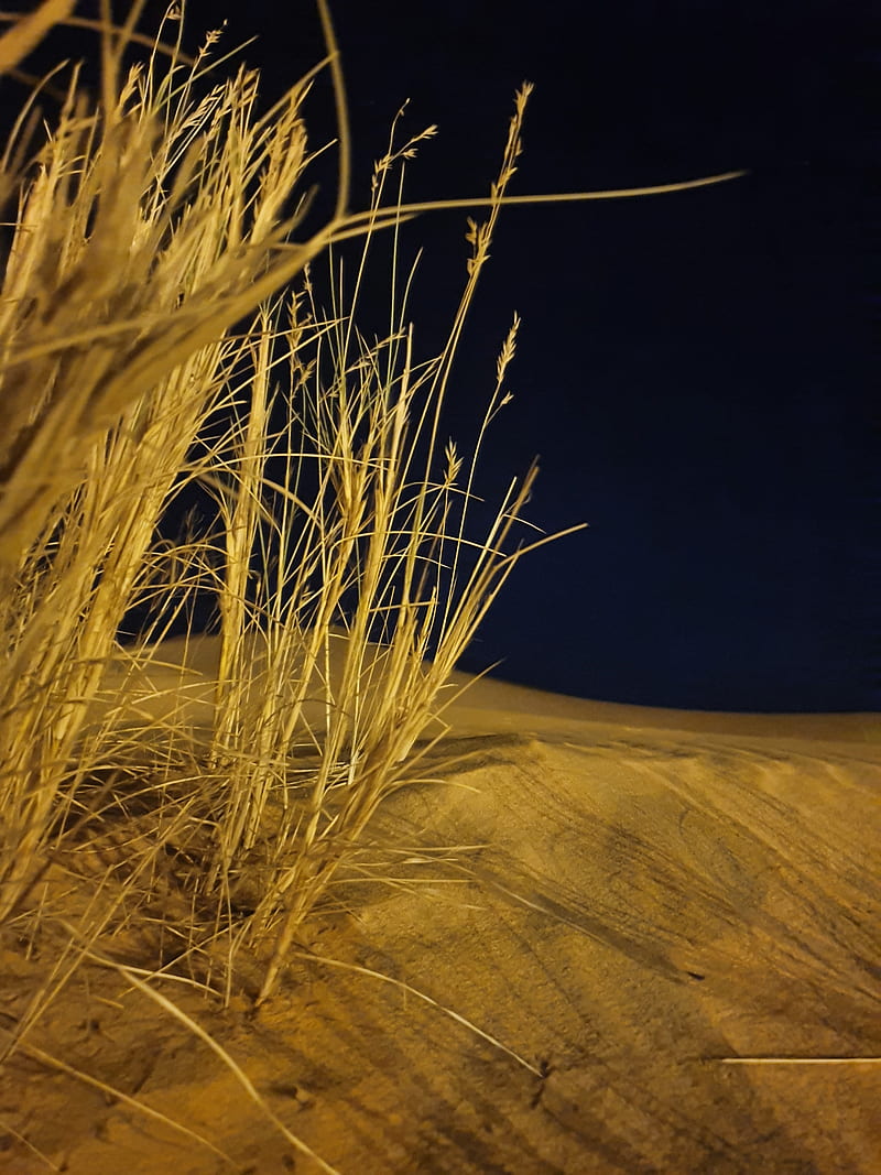 Desert night, nighit, note 10, samsung, sand, sandy, HD phone wallpaper