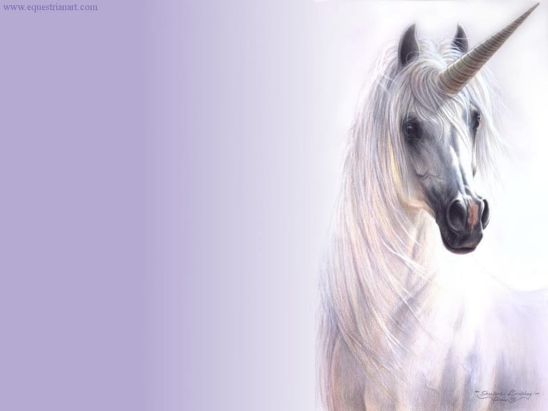 white unicorn, fantasy, white, background, unicorn, HD wallpaper