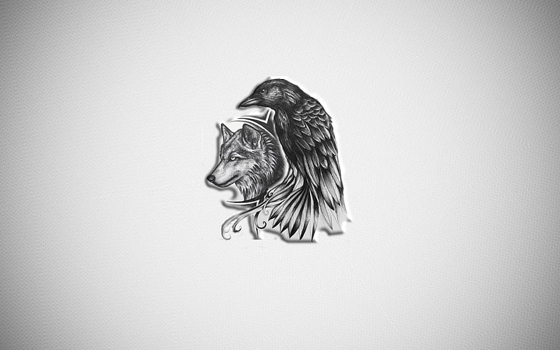 Wolf and Crow, black, owl, punk, solo, wings, wold, HD wallpaper