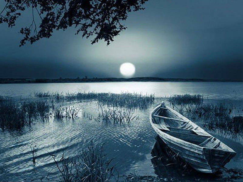 Moonlit Lake, water, moonlight, nature, eerie, lake, HD wallpaper