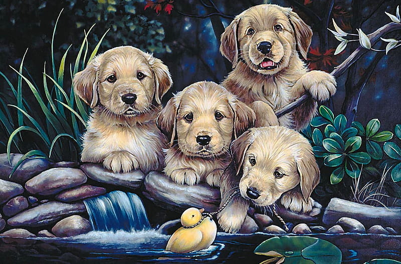 Playing Dogs, water, puppies, painting, dog, play, HD wallpaper