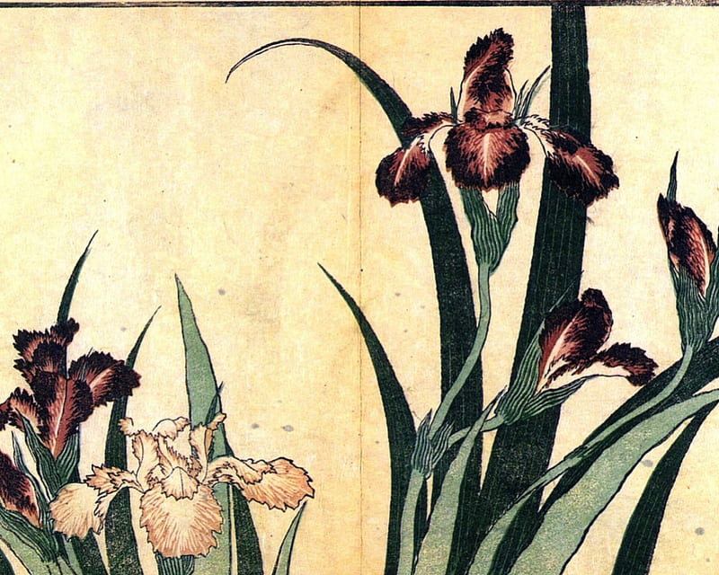 Katsushika Hokusai - Irises, japan, print, woodblock, nineteenth century, HD wallpaper