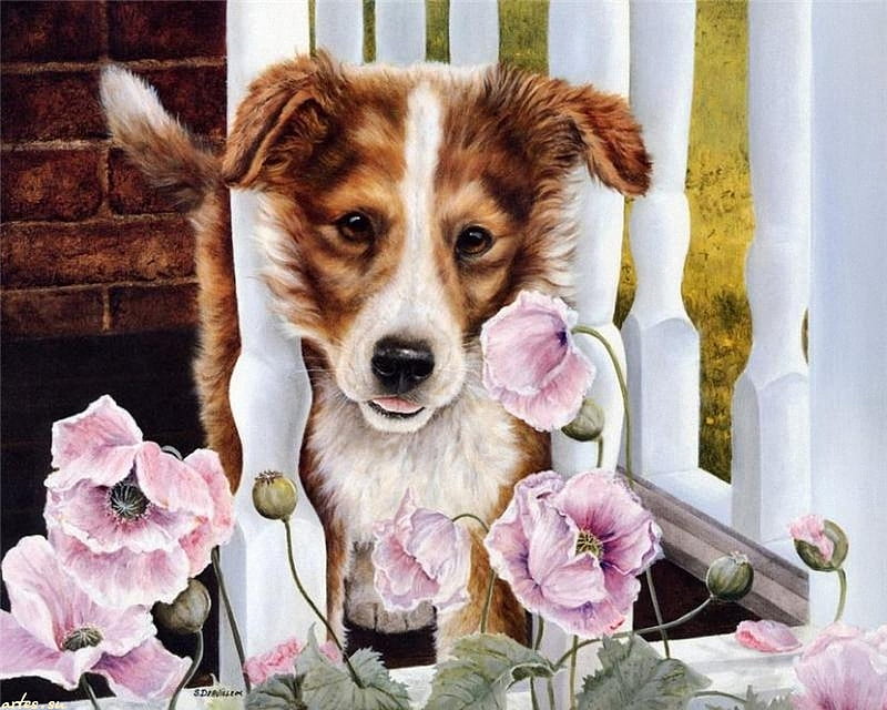 Little Dog and Flowers, flower, painting, young, dog, HD wallpaper