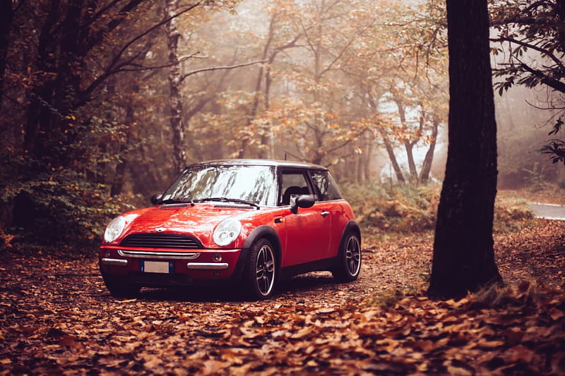 Mini Cooper, red, autumn, car, trees, HD wallpaper