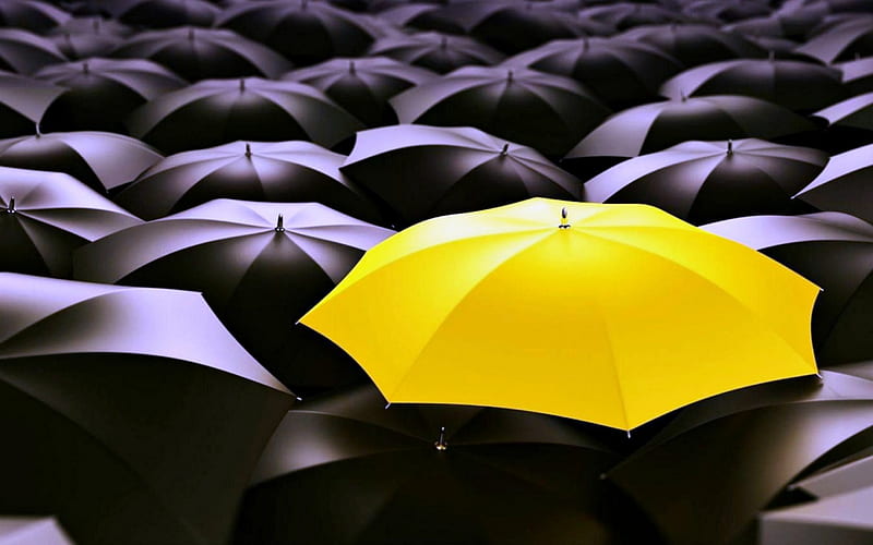 Be Unique, Abstract, Umbrella, Yellow, Black, HD wallpaper