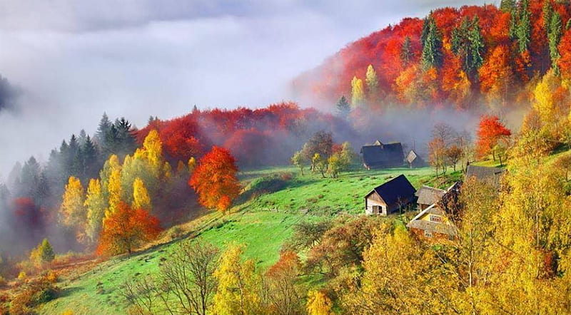 Осінь у Карпатах, Karpaty, nature, Ukraine, mountains, HD wallpaper