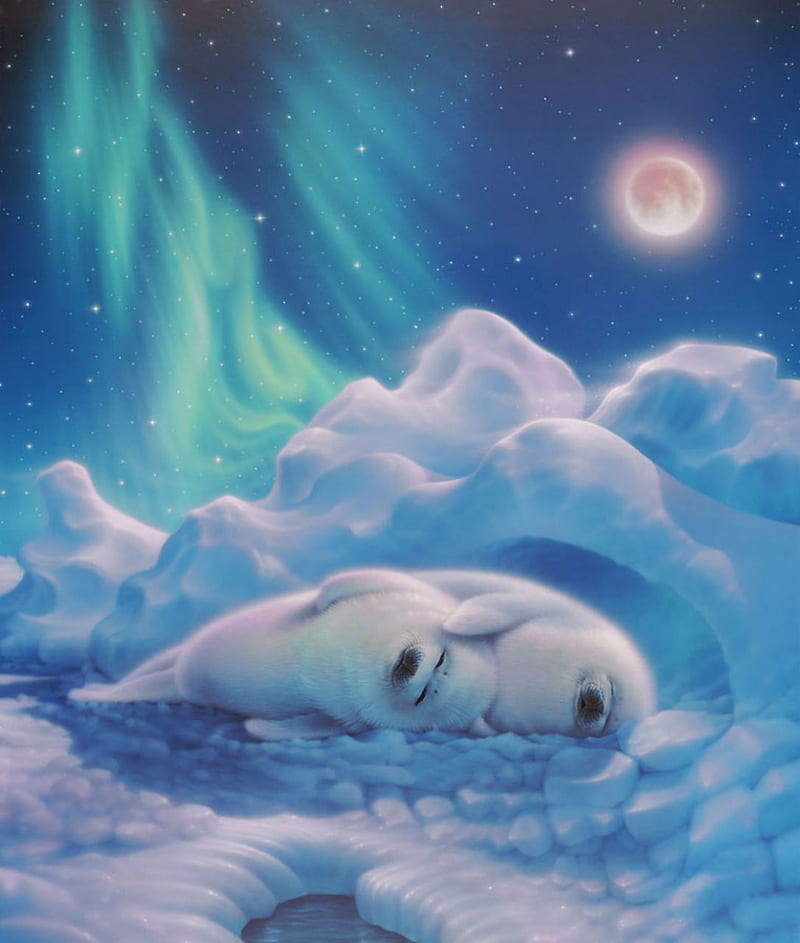 Arctic dreams, seal, moon, aurora, lights, snow, ice, acrtic, fantasy, sleep, polar, HD phone wallpaper