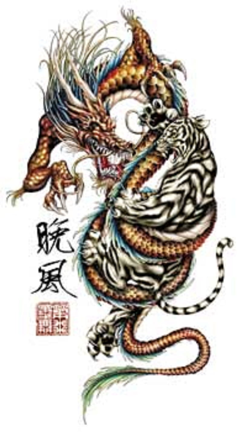 Dragon Tiger, tattoo, HD phone wallpaper