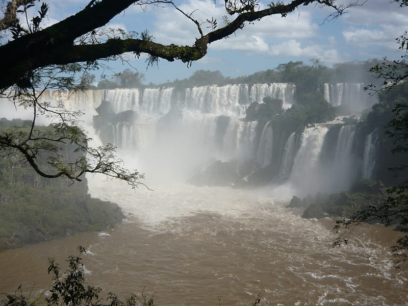 Iguazu National Park in Argentina, wonder, trees, falls, powerfull, HD wallpaper
