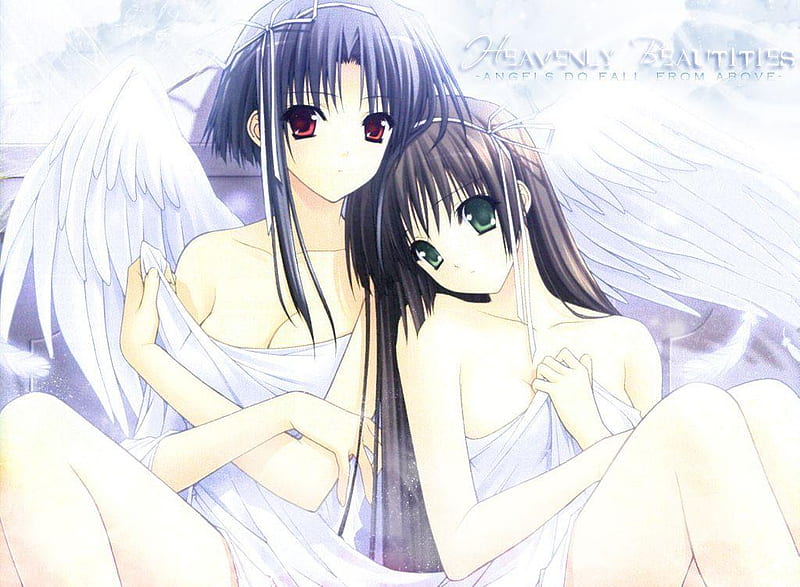 Angel Sisters, beauties, anime, angel, siblings, white wings, heaven, sisters, HD wallpaper