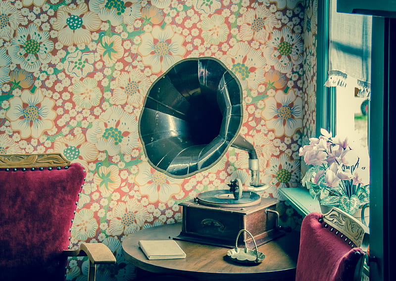Brown and Black Gramophone, HD wallpaper