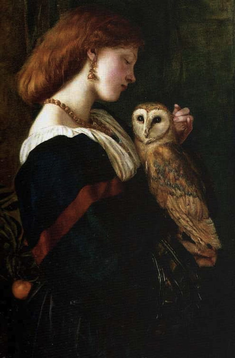 The Owl, art, barn owl, fine art, lady, paintings, pre-raphaelite, woman, women, HD phone wallpaper