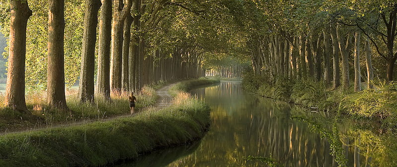 Canal du Midi, France, trees, scene, landscape, enchanted, HD wallpaper