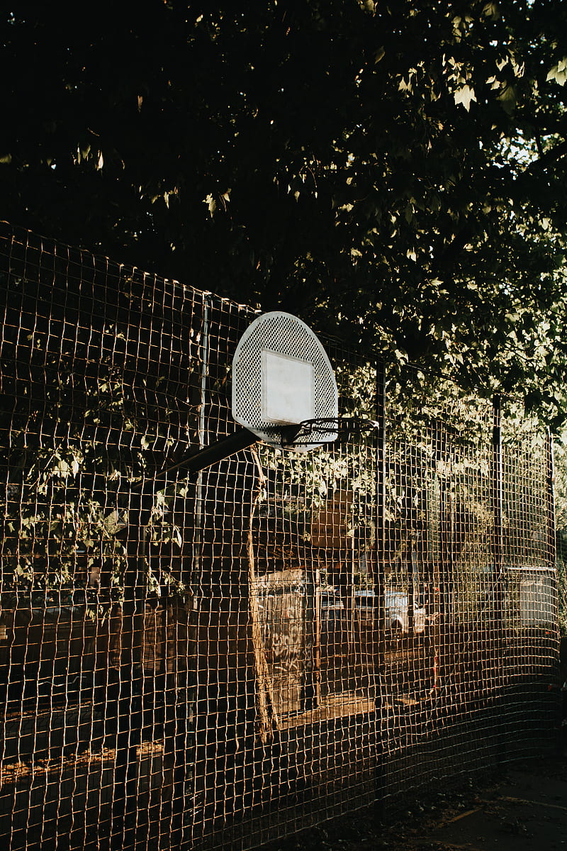 basketball, basketball backboard, mesh, trees, HD phone wallpaper