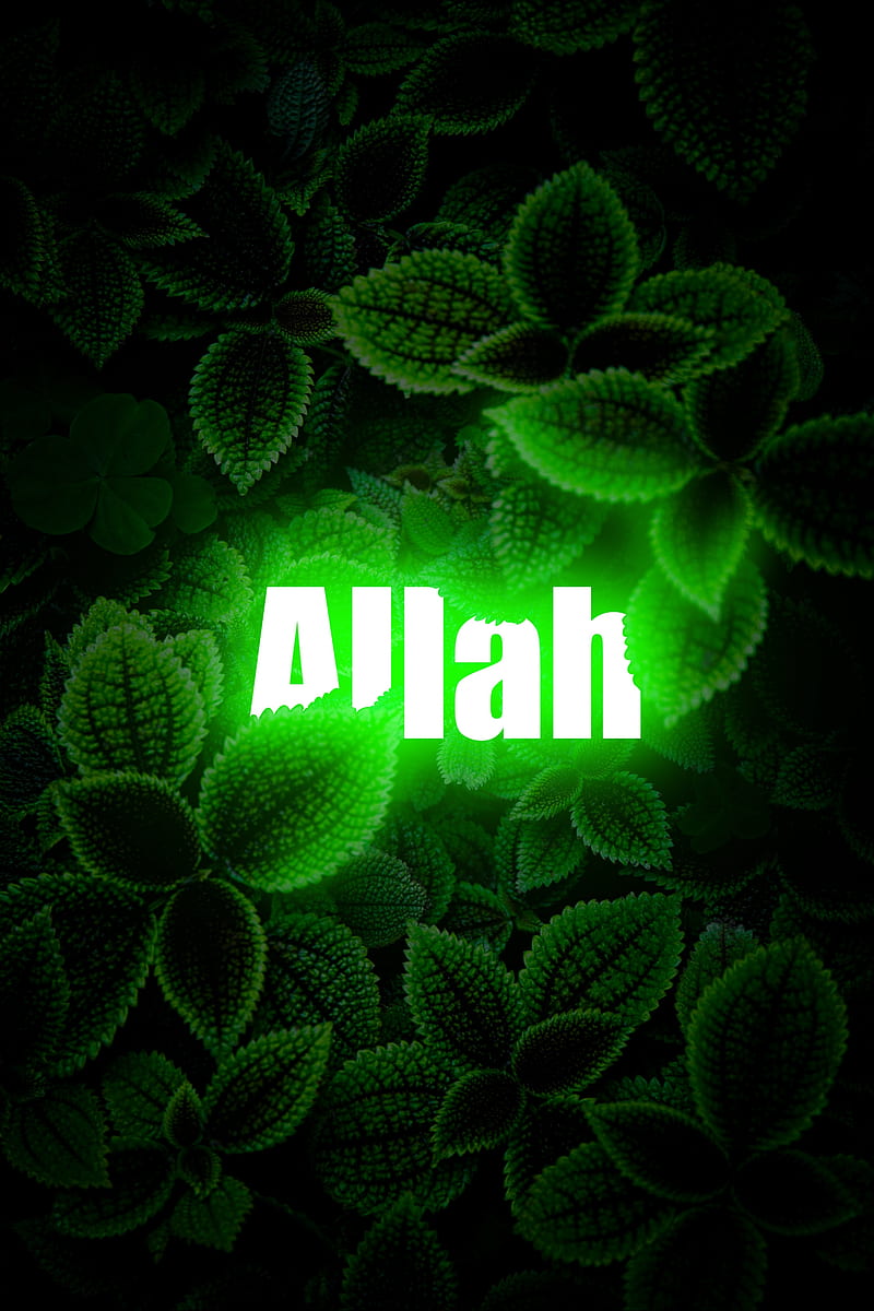 Allah, alhamdulillah, allahu, islamic, muslim, ramadan, HD phone wallpaper