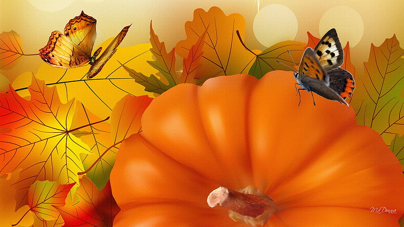 Autumn Harvest Time, fall, autumn, leaves, orange, pumpkin, bright, firefox persona, butterflies, HD wallpaper