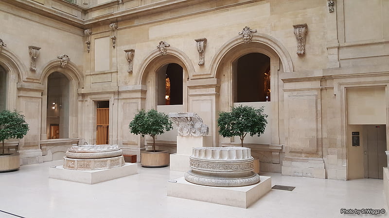 Inside Louvre Museum, Paris, France, Plants, Sculpture, France, Art, Statue, Marble, Museum, Louvre, Paris, Tree, HD wallpaper