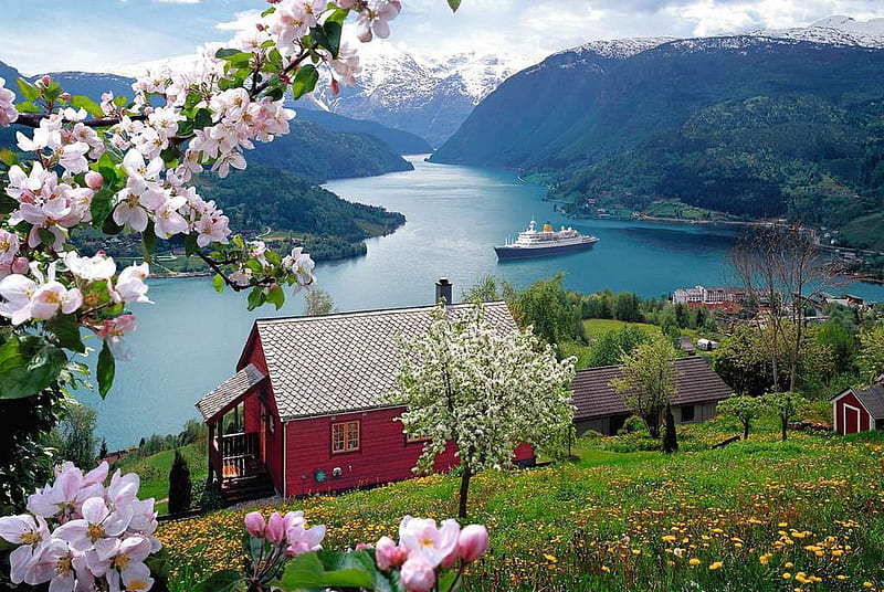 Norwegian Spring, ship, mountains, flowers, blossoms, fjord, cabin, trees, HD wallpaper