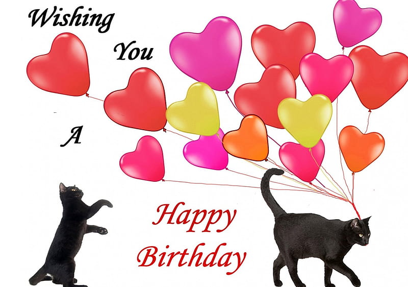 Happy Birtay!, red, black, yellow, cat, birtay, card, balloon, heart, white, pink, HD wallpaper
