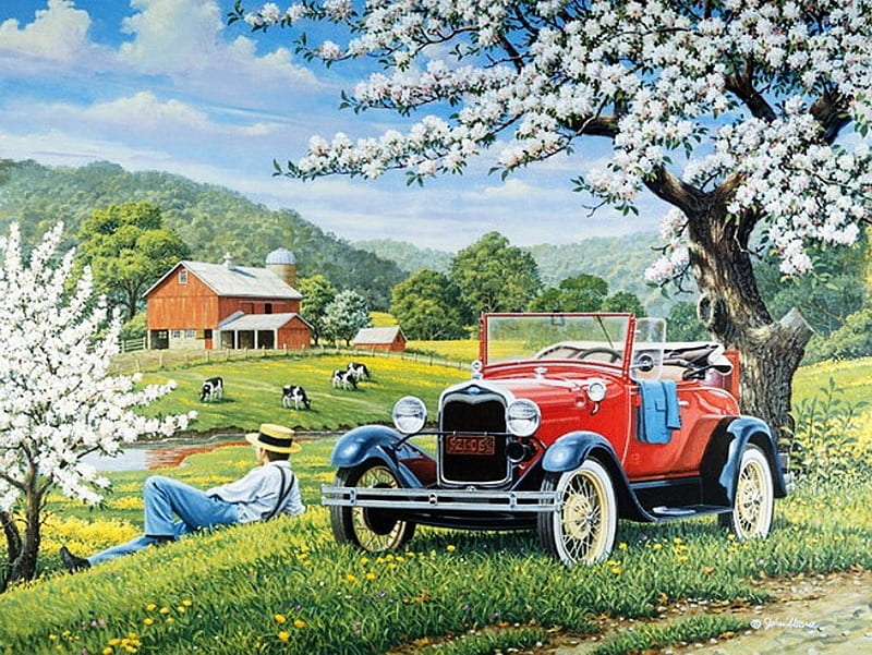 spring blossoms, farm, barnman, car, pasture, road, clouds, sky, cows, HD wallpaper