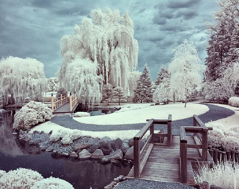 Winter Garden, japan, japanese, snow, garden, winter, HD wallpaper