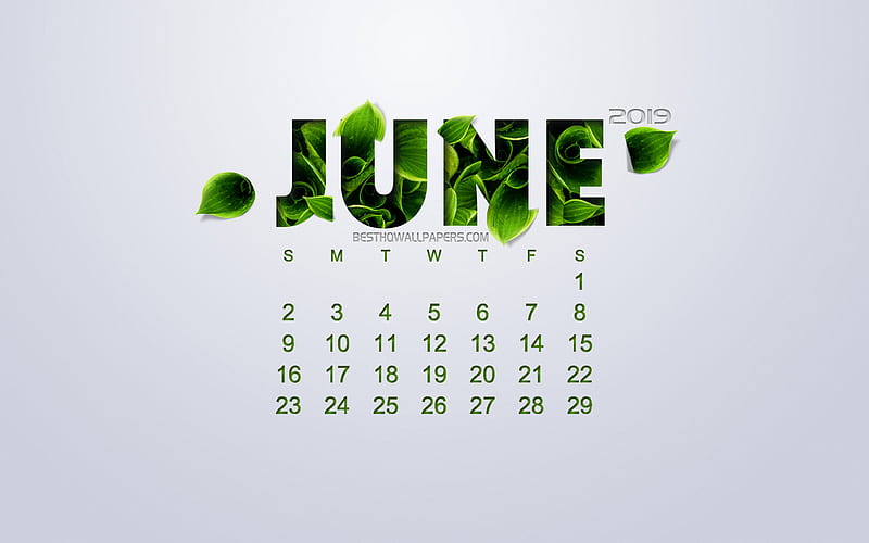 2019 June Calendar, creative flower art, white background, green leaves, spring, 2019 calendars, June, environmental concept, calendar for 2019 June, HD wallpaper