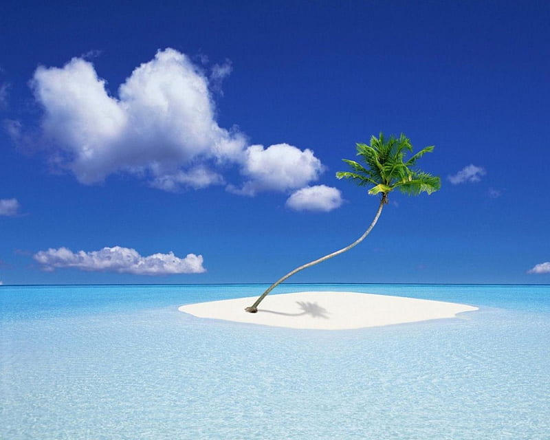 One-Palm-Island, tree, sand, water, cloud, summer, sea, HD wallpaper