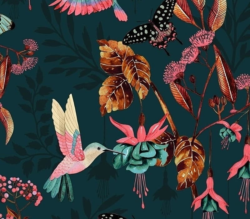 Texture, flower, paper, black greeb, colibri, pinj, pattern, hummingbird, butterfly, bird, pink, HD wallpaper