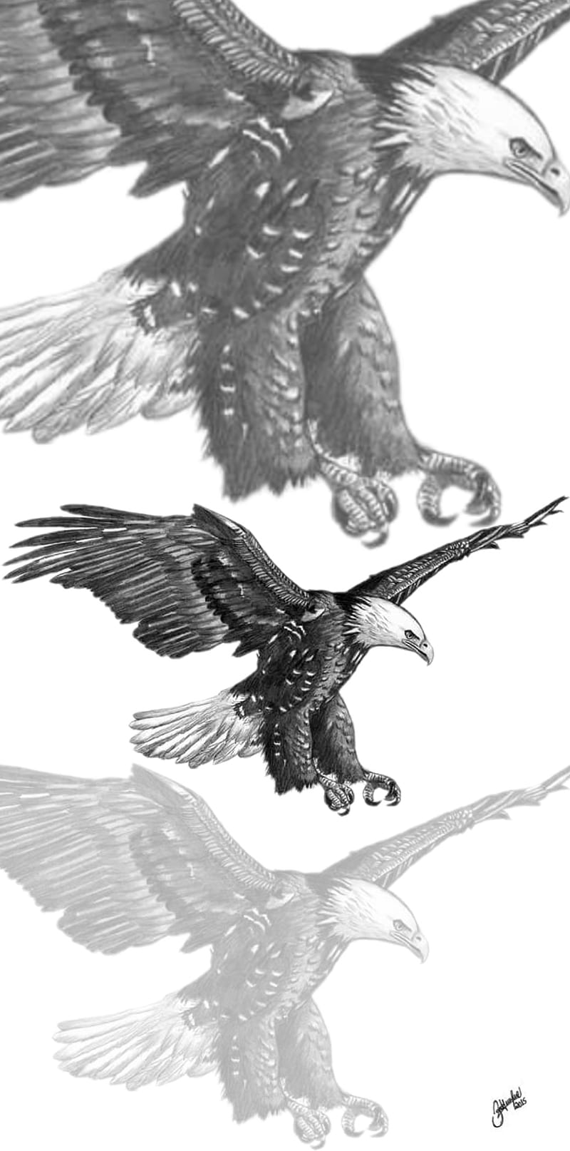 Eagle, aguia, cartoon, desenho, draw, drawing, eagles, sketch, voo, wings, HD phone wallpaper