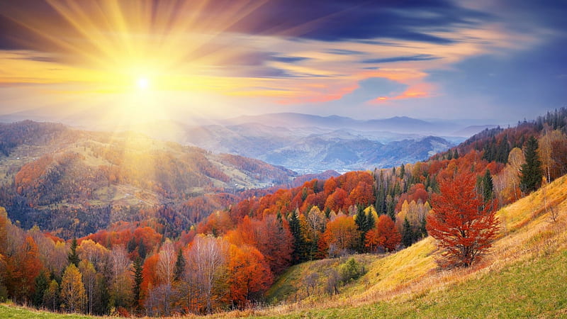 The Sun is Shining Bright, forest, autumn, sun, grass, orange, colors, trees, sky, clouds, mountain, daylight, green, bright, day, nature, blue, HD wallpaper
