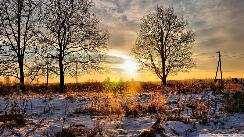 Winter evening, landscape, sun, snow, sunset, trees, clouds, sky, HD wallpaper