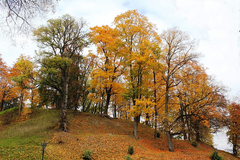 Kandava castle mound, autumn, nature, history, other, HD wallpaper