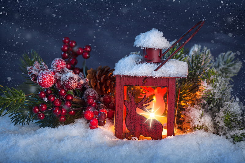 Christmas Light, candle, lantern, merry christmas, christmas, magic ...