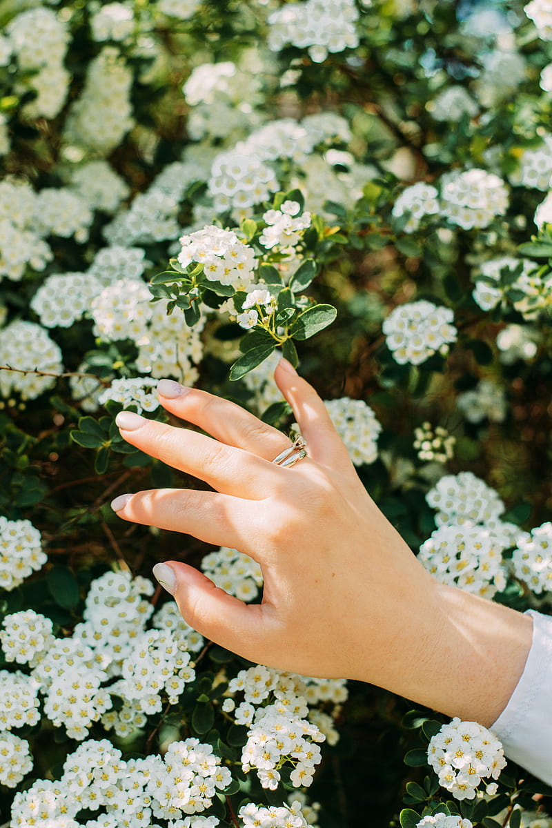 hand, ring, flowers, bloom, HD phone wallpaper