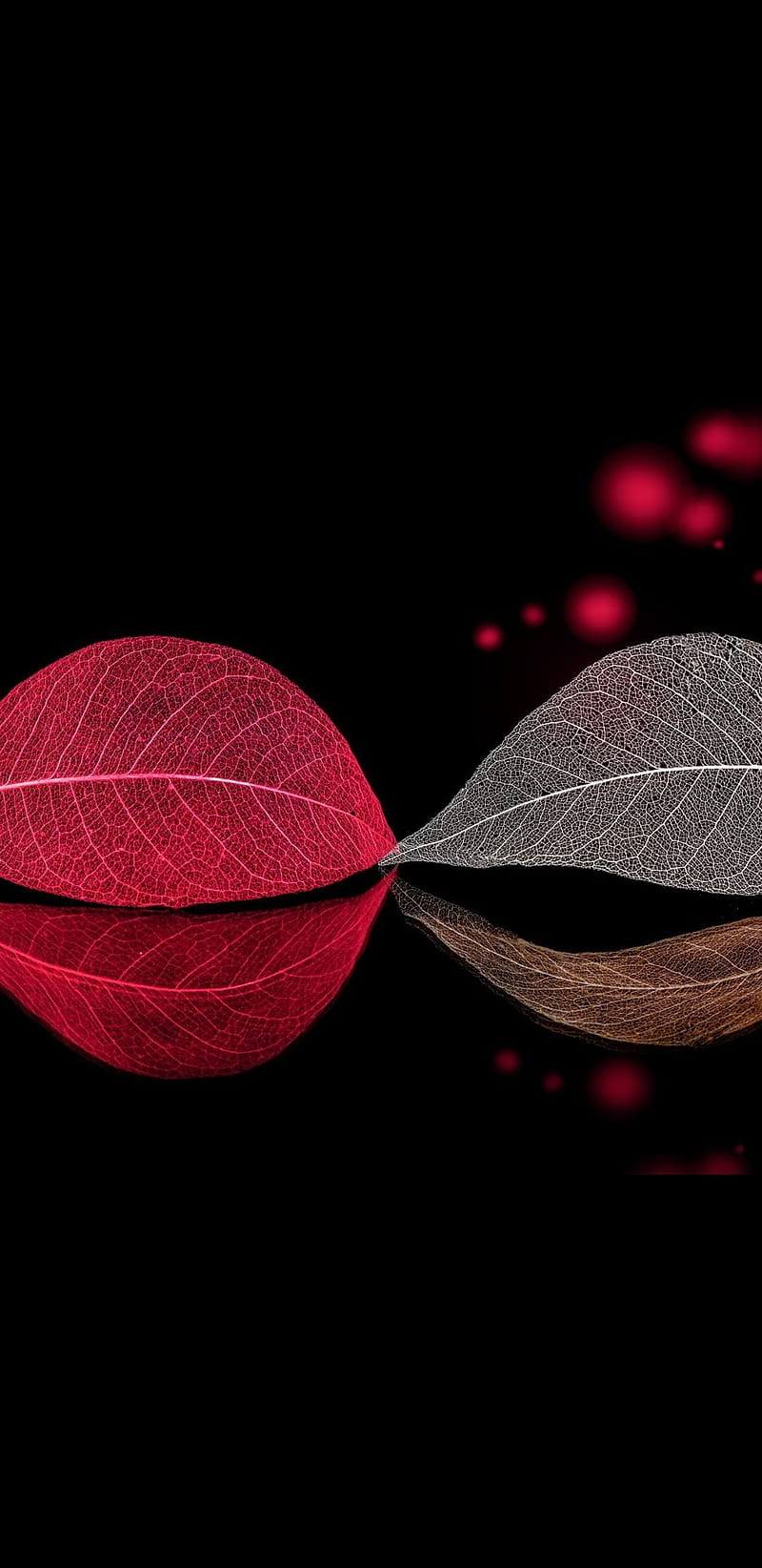 Leaves, beauty, black, bokeh, leaf, red, HD phone wallpaper