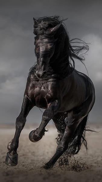 Free AI Image | Black horse running on fields