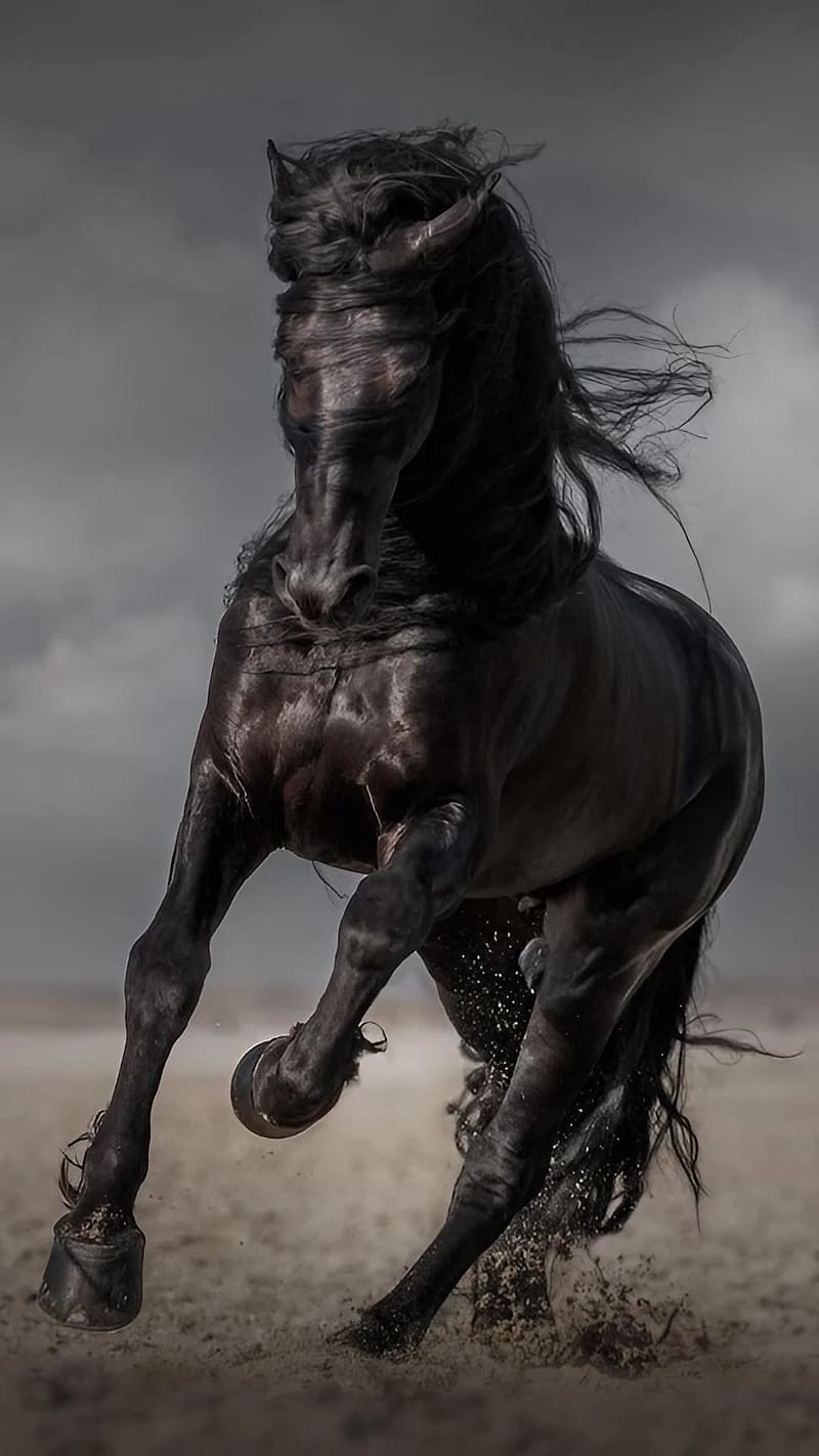 Running Horse Mobile, Black Horse, HD phone wallpaper