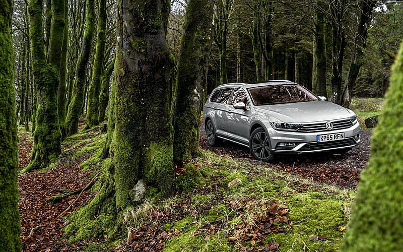 station wagons, forest, 2015, HD wallpaper