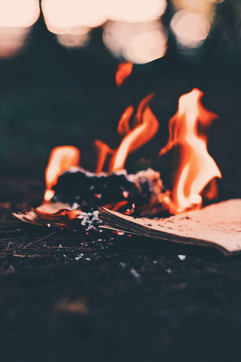 bonfire, fire, paper, ashes, burn, HD phone wallpaper