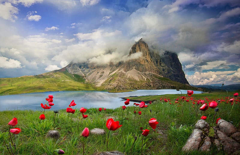 Spring Mountain, red, springtime, bonito, clouds, mountain, flowers, river, green grass, white, blue, HD wallpaper