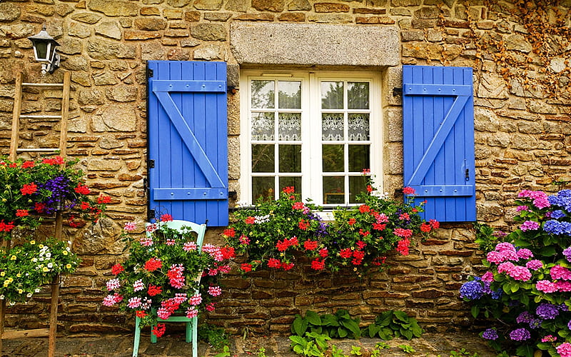 Window with Flowers, flowers, house, old, window, HD wallpaper
