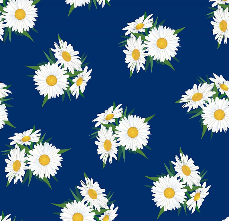 Pattern, white, yellow, blue, daisy, texture, flower, HD wallpaper