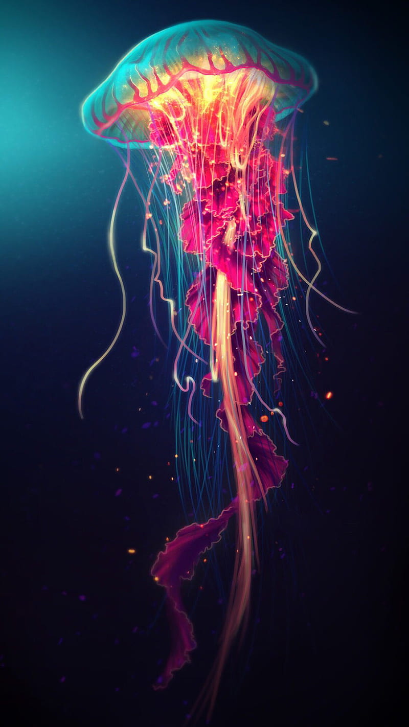 Jellyfish, fish, jelly, water, HD phone wallpaper
